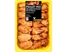 Denner BBQ Poulet-Mix
