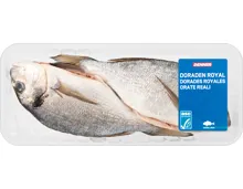 Denner Doraden Royal