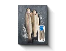 Denner Forellen
