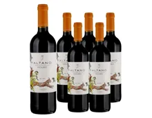 Douro DOC Altano Symington Family Estates 6x 75cl (2022) – Rotwein, Portugal (0.75l)