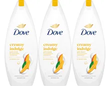 Dove Duschgel Creamy Indulge Mango