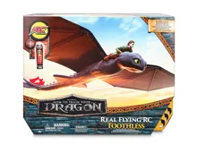 Dragons Movie - Fliegender Ohnezahn