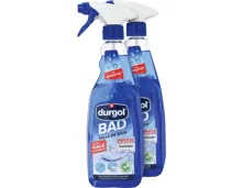 Durgol Reiniger Surface 2 x 600 ml