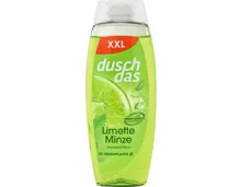 Duschdas Dusch Limette Minze 450ml