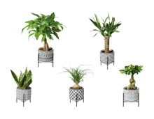 Easy Care in Black & White Keramik