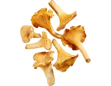 Eierschwämme