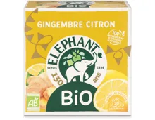 Elephant Bio Ginger Lemon 20 Beutel