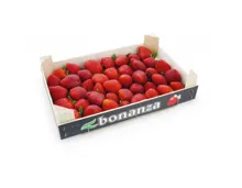 Erdbeeren Premium