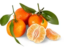 Extra Clementinen mit Blatt