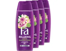 Fa Duschcreme Mystic Moments 4 x 250 ml