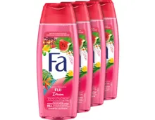 Fa Duschgel Fiji Dreams 4 x 250 ml