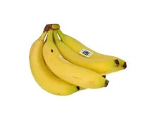 Fairtrade Bananen ca. 1kg