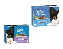 Felix Katzennahrung in Gelée