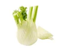Fenchel