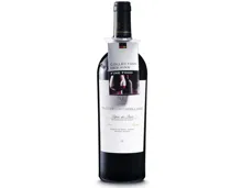 Fine Food Ribera del Duero DO Reserva Pago de los Capellanes (2021) – Rotwein, Spanien (0.75l)