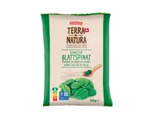 FRESHONA Schweizer Blattspinat