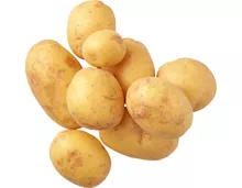 Frühkartoffeln im Körbli