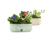 Frühlingsarrngement Beton