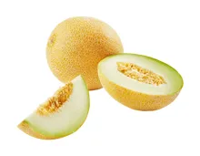 Galiamelone