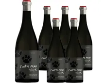 Galice Mencia Cuatro Pasos Black 6x 75cl (2021) – Rotwein, Spanien (0.75l)
