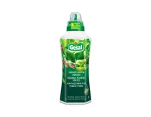 Gesal Grünpflanzendünger