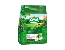 Gesal Rasen Langzeitdünger