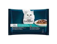 Gourmet Katzennahrung