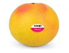 Grapefruit rot ca. 1kg