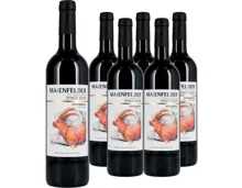 Graubünden AOC Maienfelder Pinot Noir Steinbock 6x 75cl (2024) – Rotwein, Schweiz (0.75l)