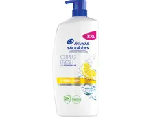 Head & Shoulders Antischuppen-Shampoo Citrus Fresh