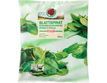 IP-SUISSE Blattspinat