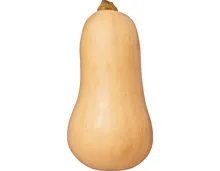 IP-SUISSE Butternusskürbis