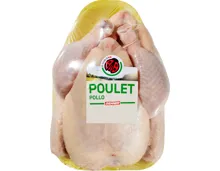 IP-SUISSE Poulet