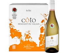 Jean-René Germanier Côto Fendant du Valais AOC