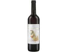 Jeninser AOC Pinot Noir Steinhuhn (2024) – Rotwein, Schweiz (0.75l)