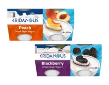 Joghurt Griechischer Art