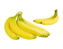 Kanarische Bananen