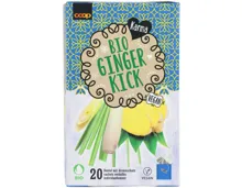 Karma Bio Tee Ginger Kick 20 Beutel
