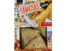 Karma Samosas