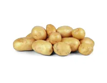 Kartoffeln grün