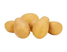 Kartoffeln mehligkochend