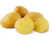 Kartoffeln neue Ernte