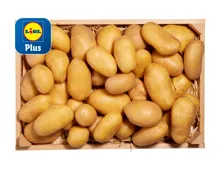 Kartoffeln Terra Natura