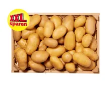 Kartoffeln XXL