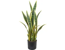 Kunstpflanze Bogenhanf im Topf, 60 cm