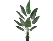 Kunstpflanze Strelitzia im Topf, 180 cm