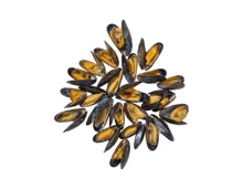 La Cancalaise Miesmuscheln gekocht à la Crème