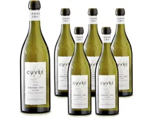 La Côte AOC Grand Cru Perroy Cuvée 48 6x 70cl (2025) – Weisswein, Schweiz (0.7l)