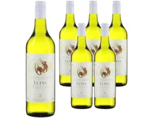 La Côte AOC Luins Les Oursons 6x 75cl (2024) – Weisswein, Schweiz (0.75l)