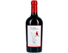 Lazio IGP Syrah Fattoria Tellus Falesco (2020) – Rotwein, Italien (0.75l)